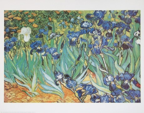 Iris Vincent van Gogh Kunstpostkarte Schwertlilien 