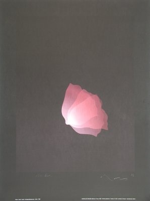 Kozo; Morgendämmerung