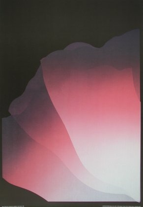 Kozo; Nachtblume